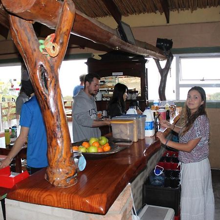 The Wild Farm Backpackers Hostel Wilderness Luaran gambar