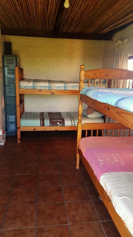 The Wild Farm Backpackers Hostel Wilderness Luaran gambar